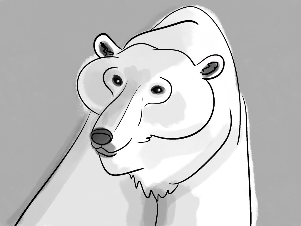 Cartoon Polar Bear